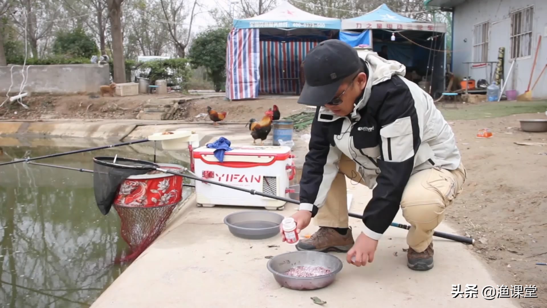冬季野钓罗非鲤鱼鱼饵搭配,冬季钓大口鲶用什么鱼饵好