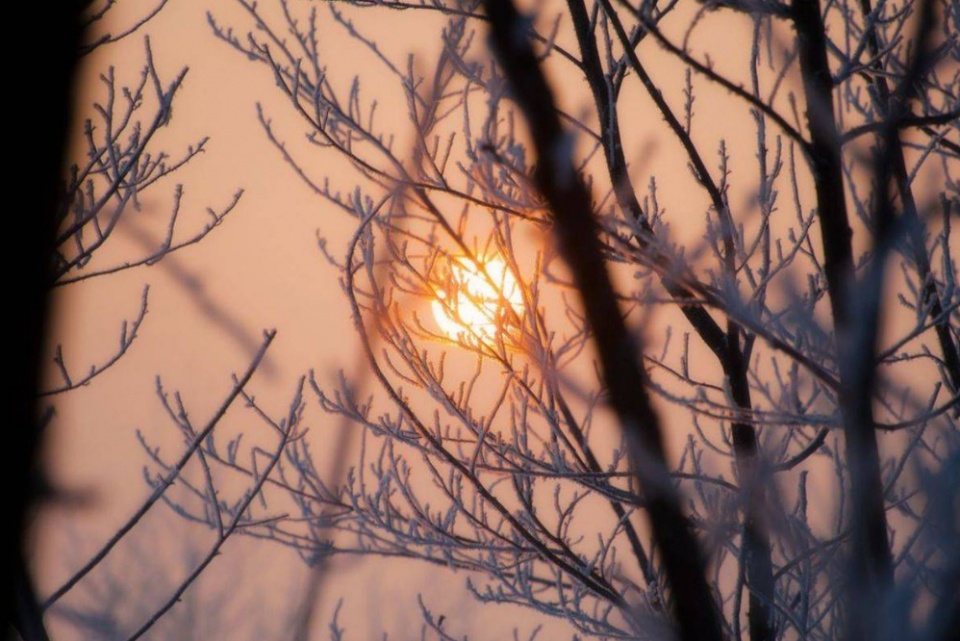 佳能ef50mm小痰盂三代是全画幅吗,佳能的50mmf1.4跟小痰盂比较