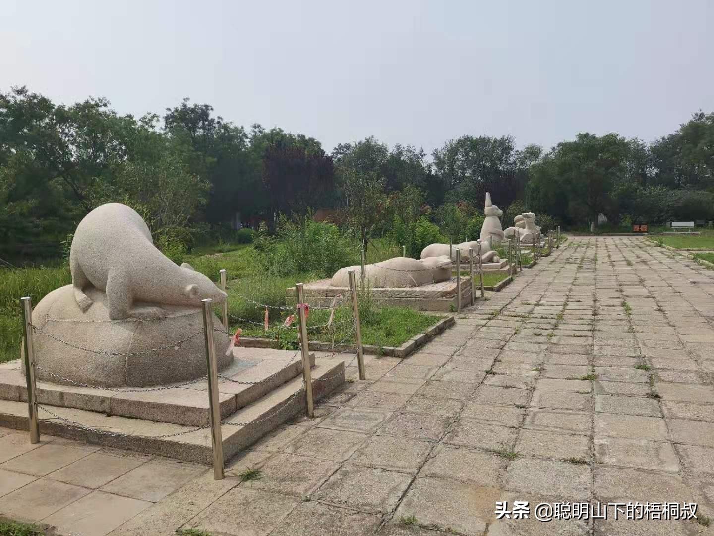 蟒山国家森林公园自由行攻略,北京蟒山森林公园游玩攻略