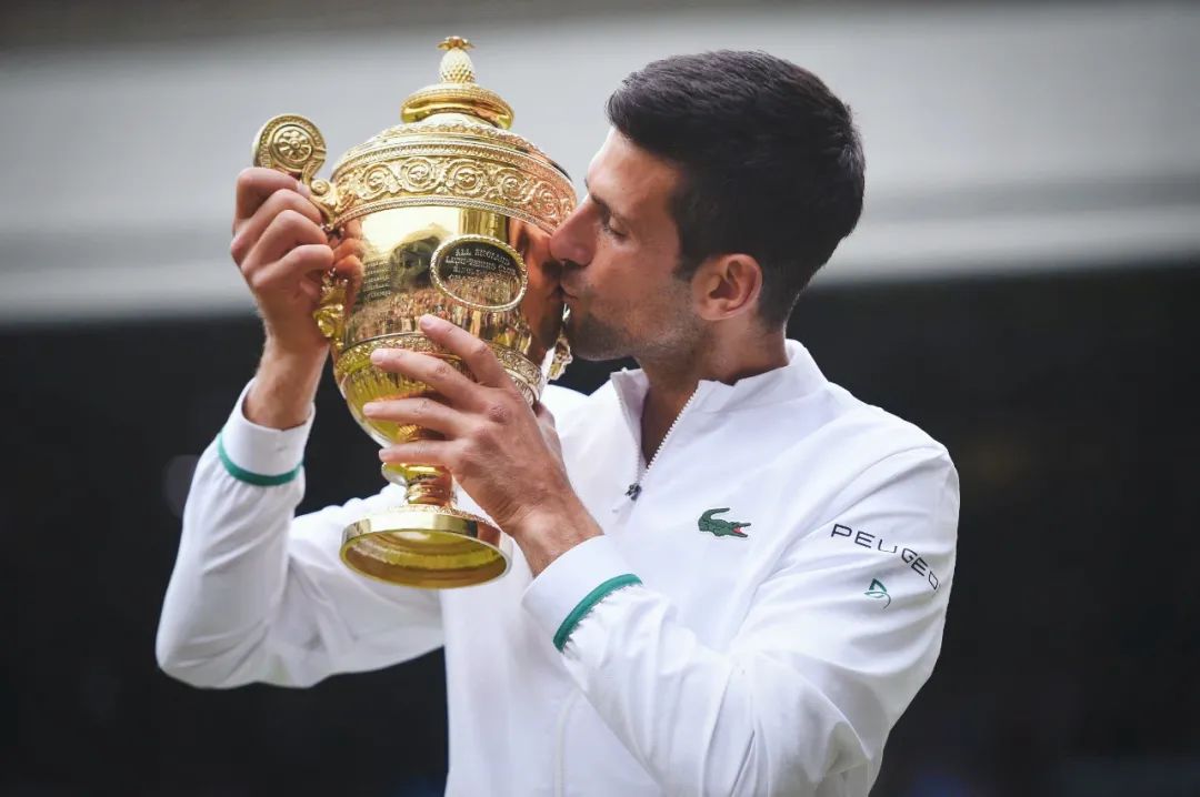 温布尔登称王｜德约科维奇的远方，在更远