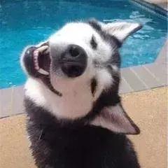 中山市西区彩虹片区好吗,中山彩虹片区走势