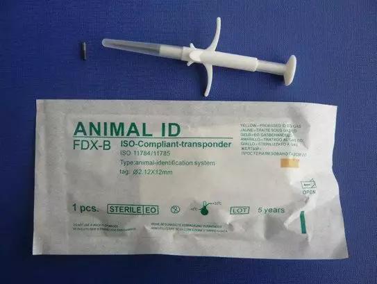 带狗狗移民,怎样带自家狗狗去国外