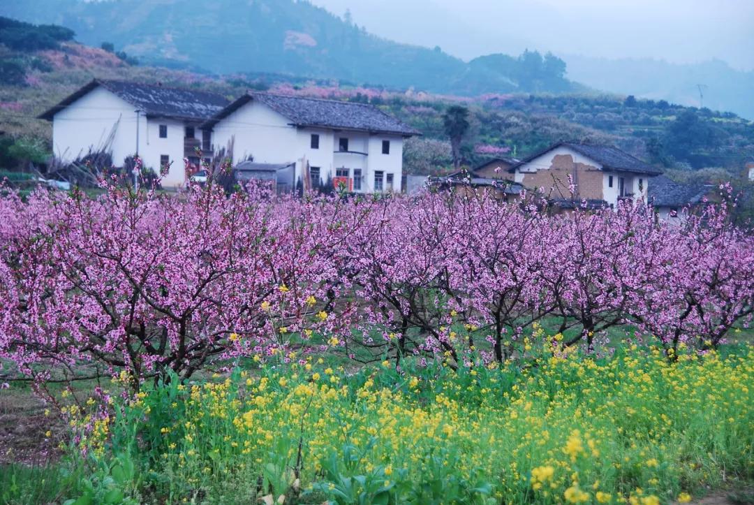 超适合一个人的15个国内外旅行地,国内适合一个人旅行的景点有哪些