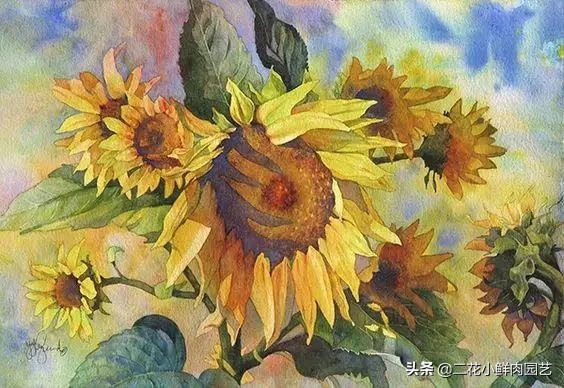 100种花卉绘画,100多张花卉线描手稿素材赶快收藏