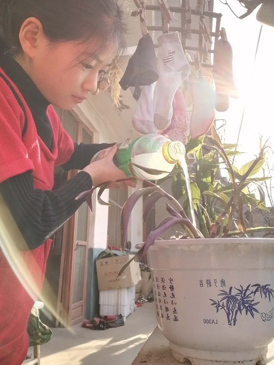 世界水日教育活动简讯,世界水日小学活动