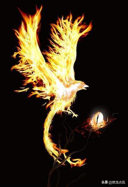 燃龙点凤吉祥物,燃龙点凤曹德旺现状