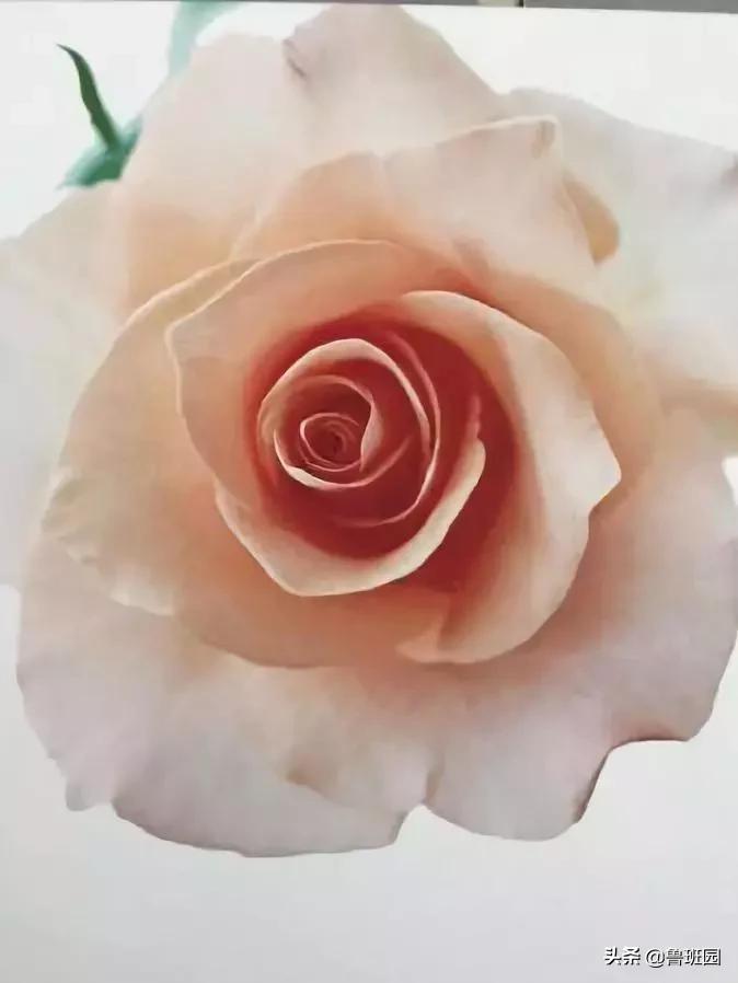 粉末静电喷涂有用吗,家具静电粉末喷涂工艺视频