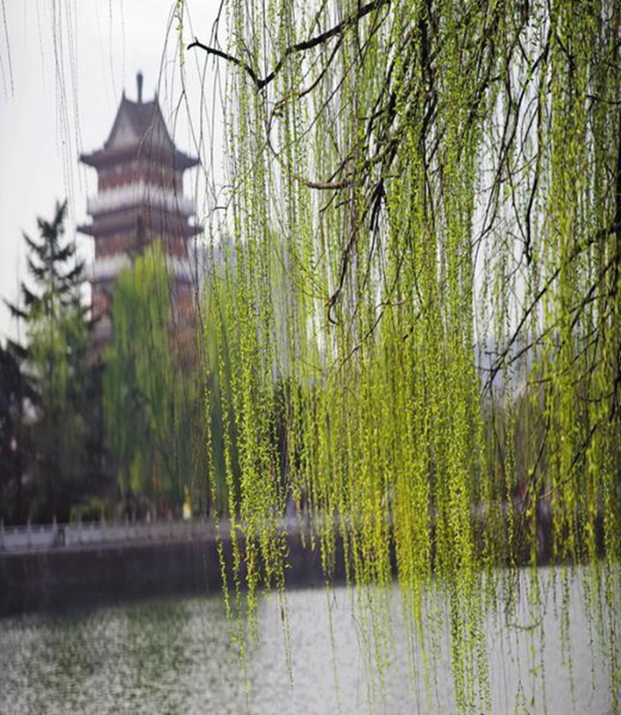 3月20日 新闻中的渭南事（组图）