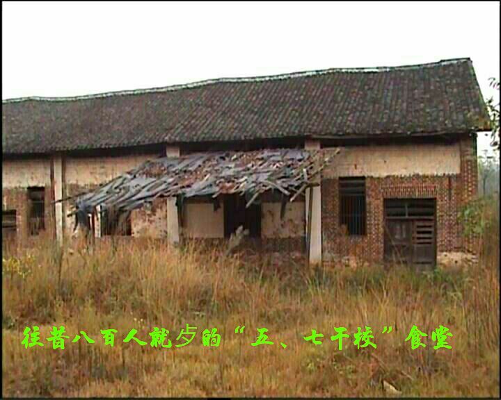 难以释怀的知青情结,60年代的知青情结