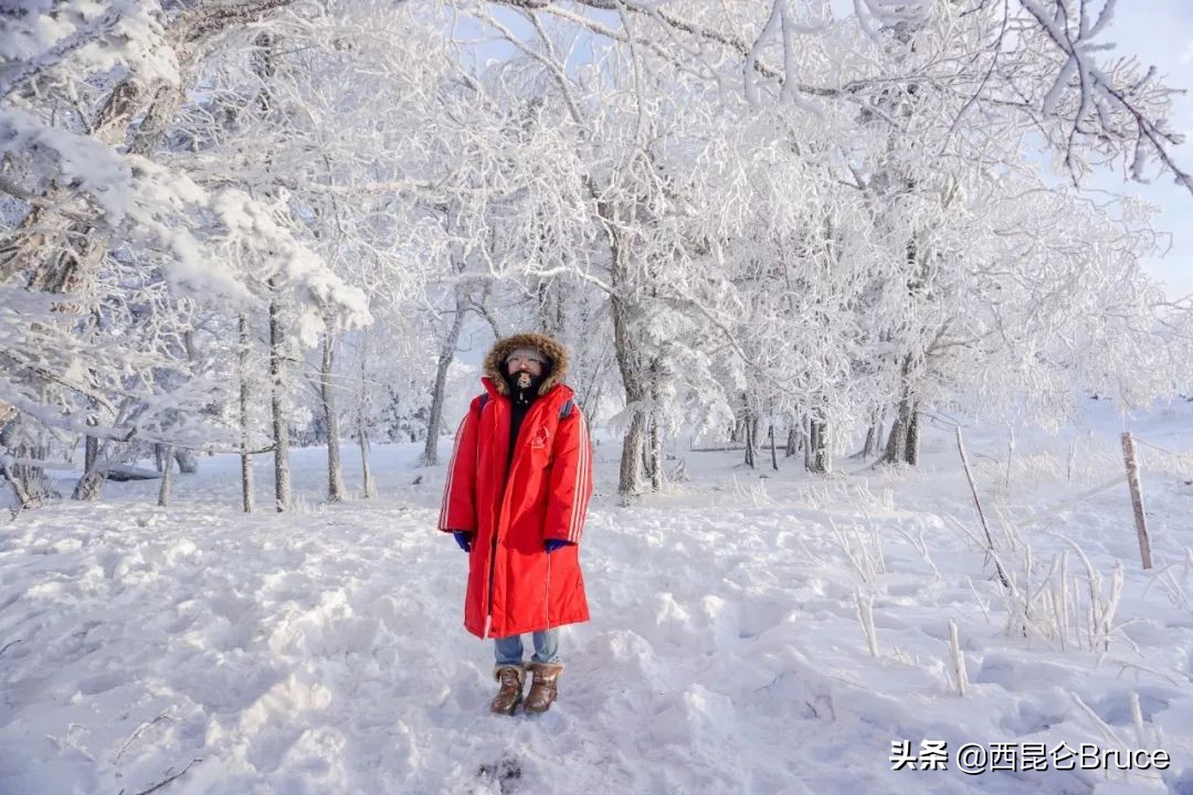 东北气候变暖趋势,东北未来气候变化