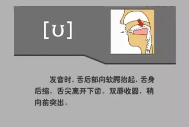 英语音标48个快速记,英语48个音标顺口溜视频教程