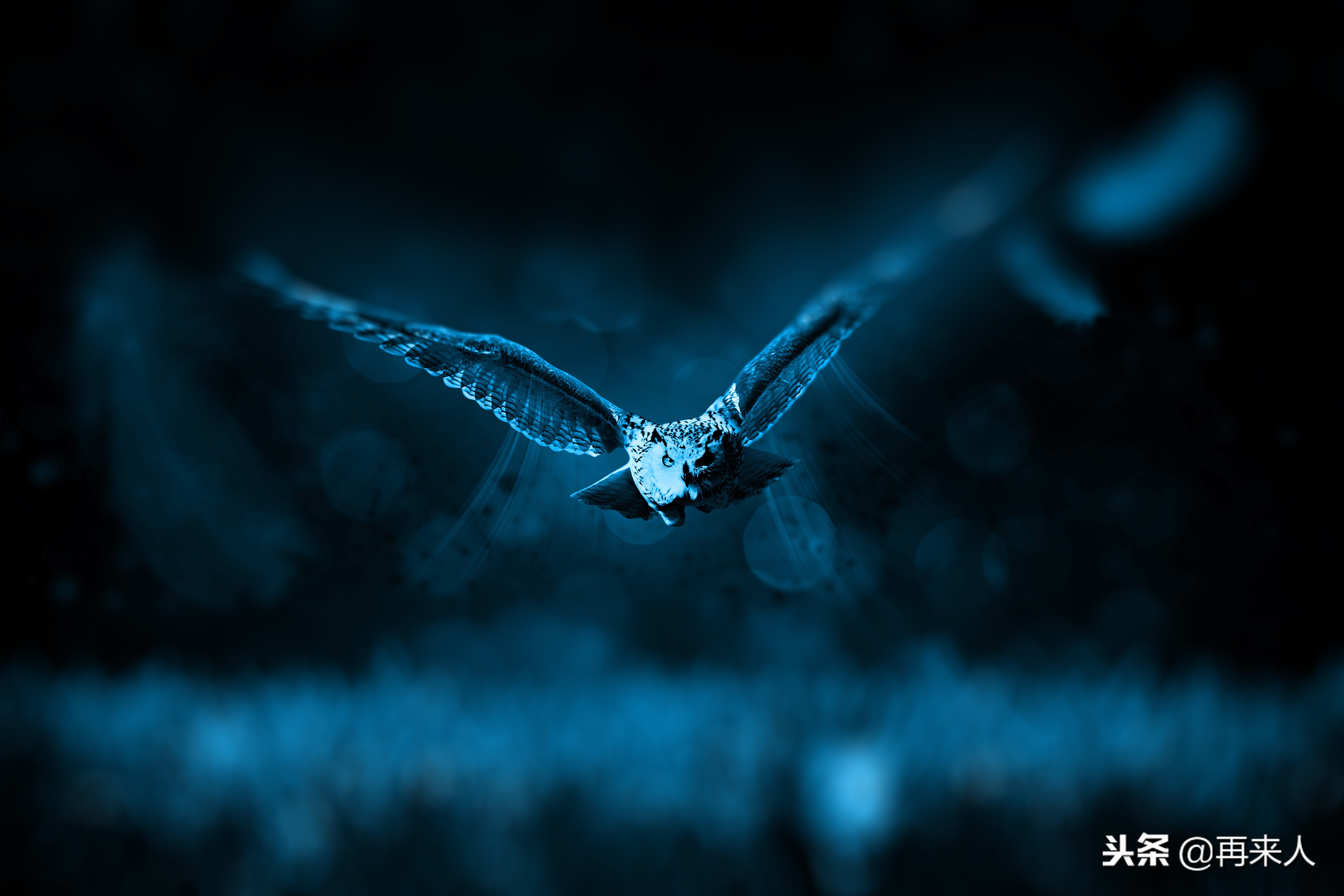 到底要不要转专业的真实感受,到底要不要转职业逆水寒