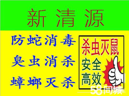阜阳杀虫灭鼠灭蟑螂灭白蚁,专业灭鼠灭蟑螂杀白蚁维修电话