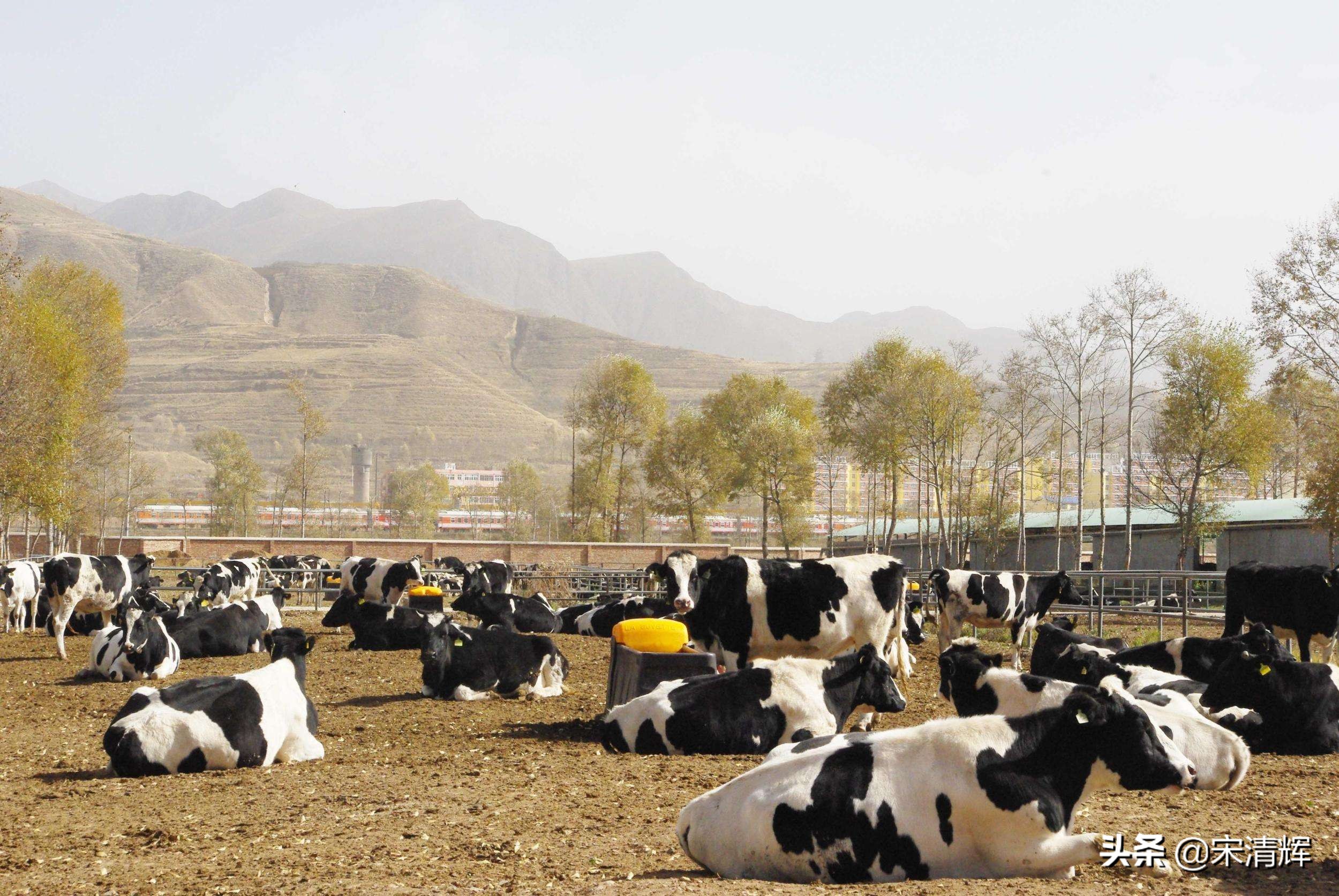 完达山药业完达山乳业,完达山壹号完达山乳业