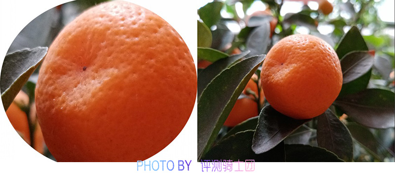 华为畅享9e价格多少,华为畅享9e值得买吗