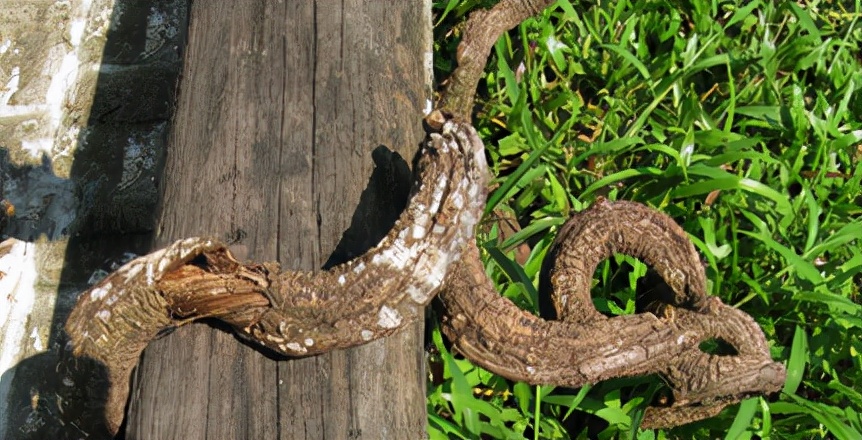 海南旅游攻略七日游最新,今年的第二次旅行之海南篇