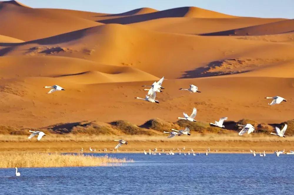 10月旅行地推荐最适合初秋出游,10月最适合慢慢旅游的地方