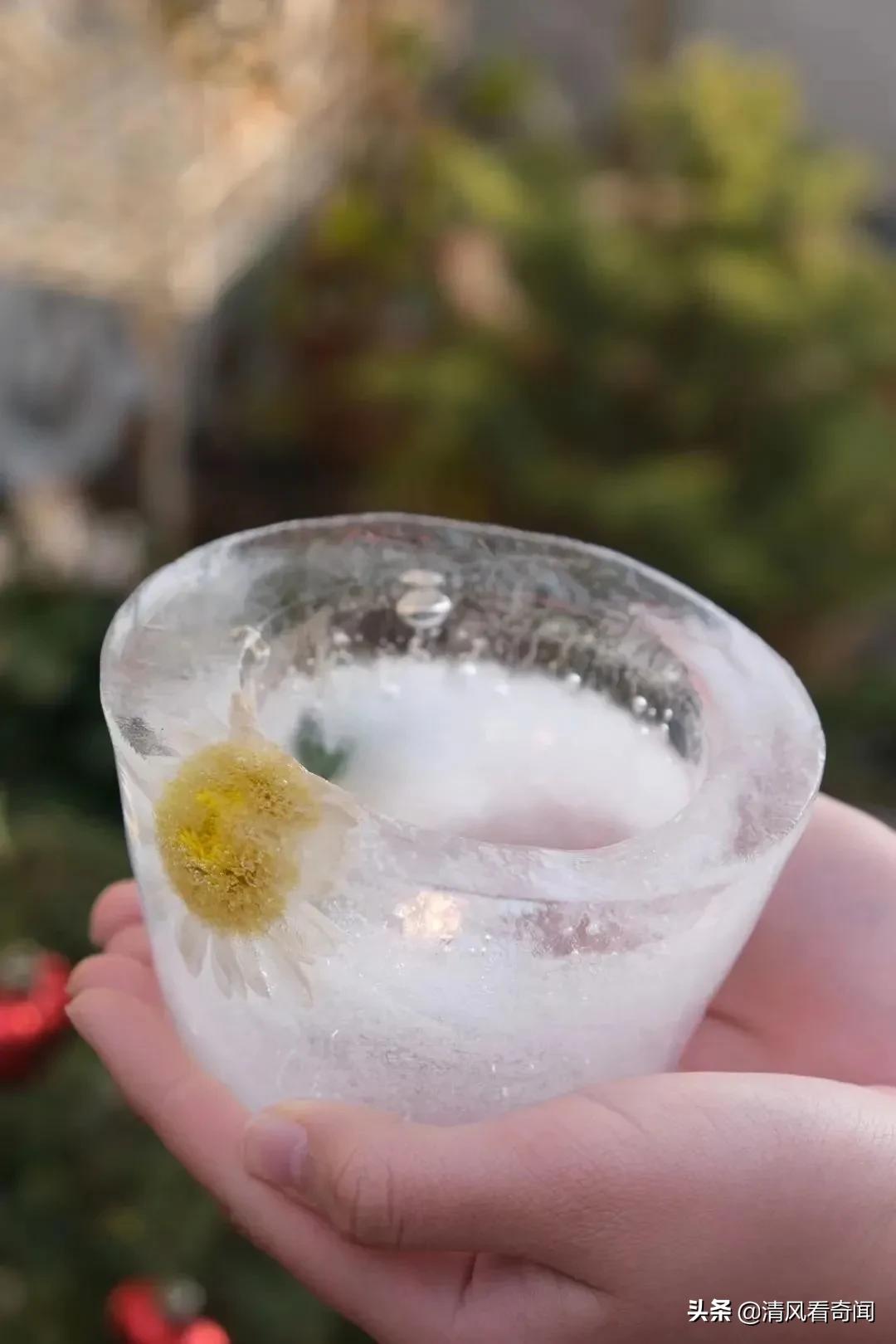 冻冰花美篇,冻冰花的美篇