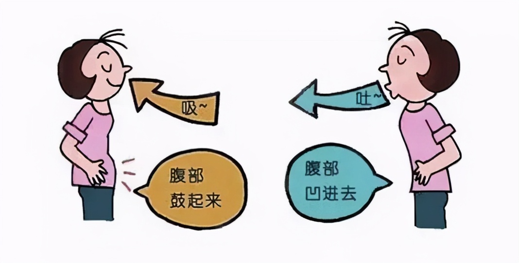 关于腹肌or马甲线的知识，不看你就亏了