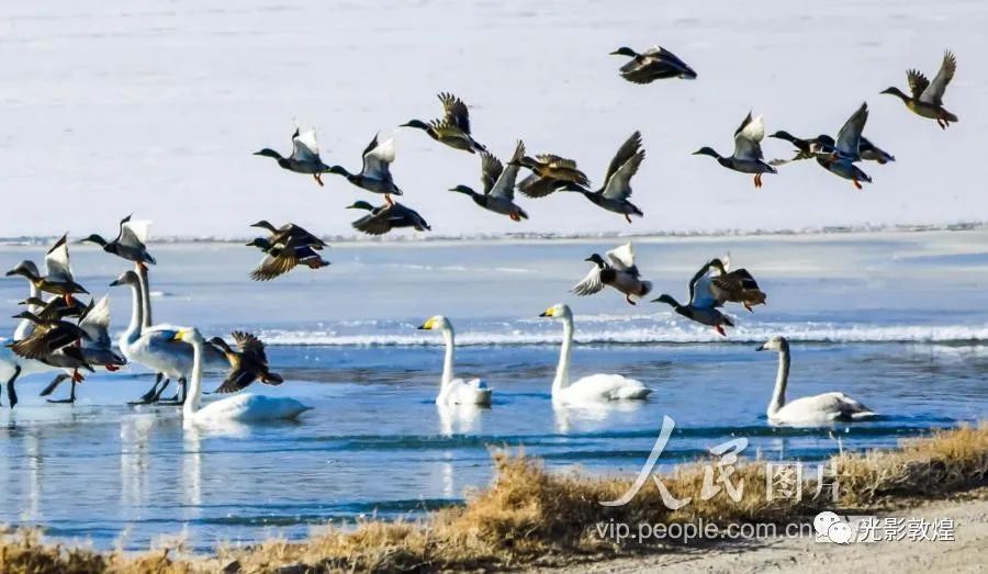 五一去敦煌自驾游合适吗,敦煌阳关景区游玩多长时间
