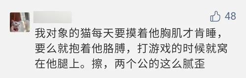 自从有了猫,自从有了猫慢慢变多余