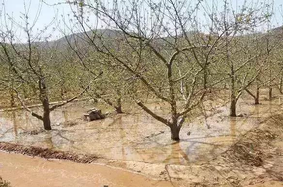 瀵掓皵渚佃韬綋,瀵掓皵鍏ヤ镜浼氬鍔犺韩浣撴箍姘斿悧