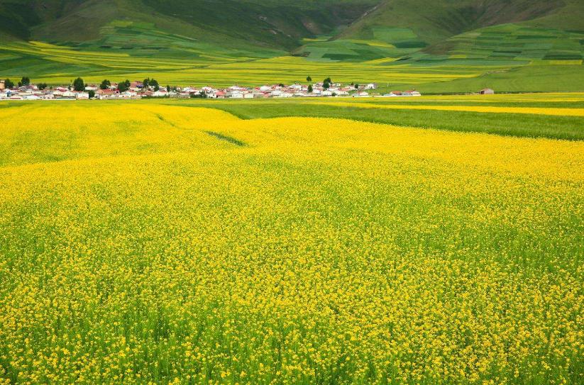 深圳去甘肃旅游攻略,私人订制青海甘肃自由行旅游攻略