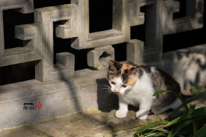 「徽州冷」宏村秋深晴少,友谊地久天