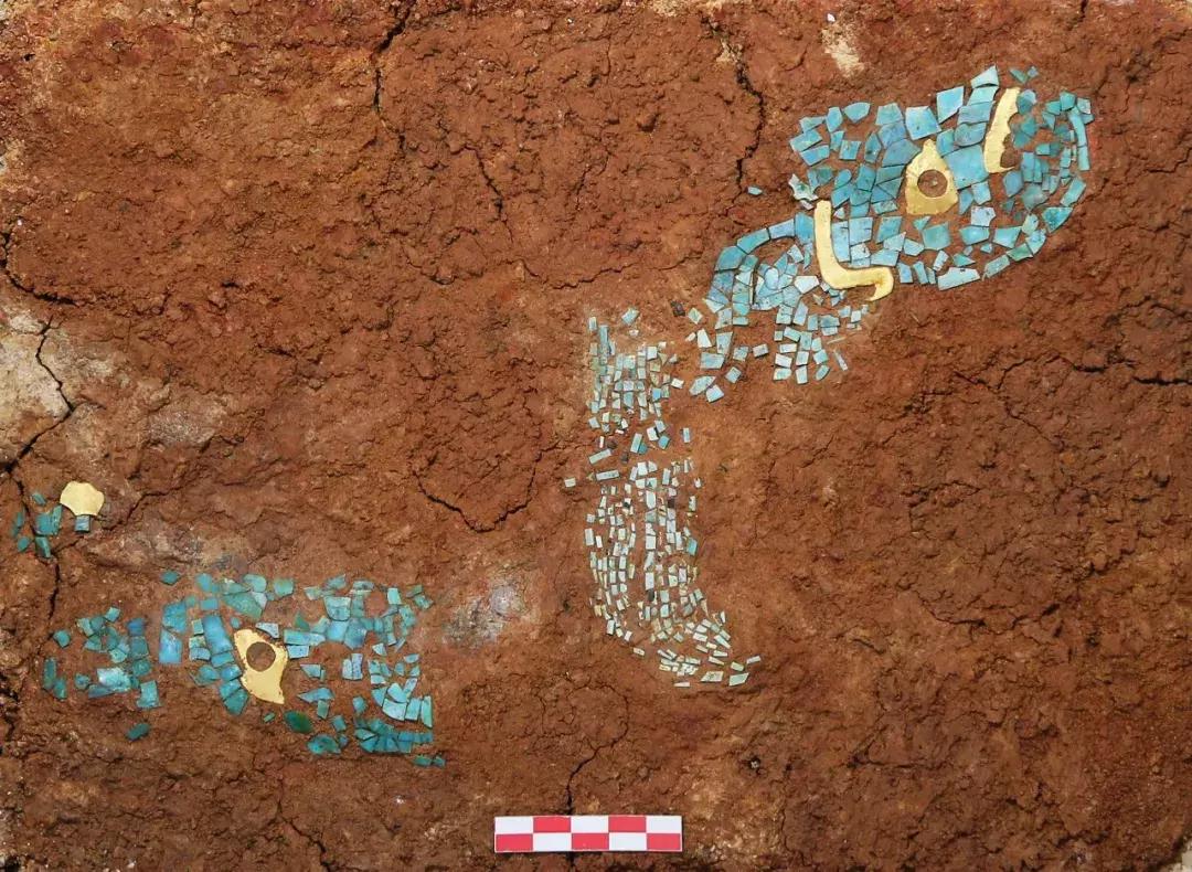 武汉人民的福利,武汉人民幸福满满