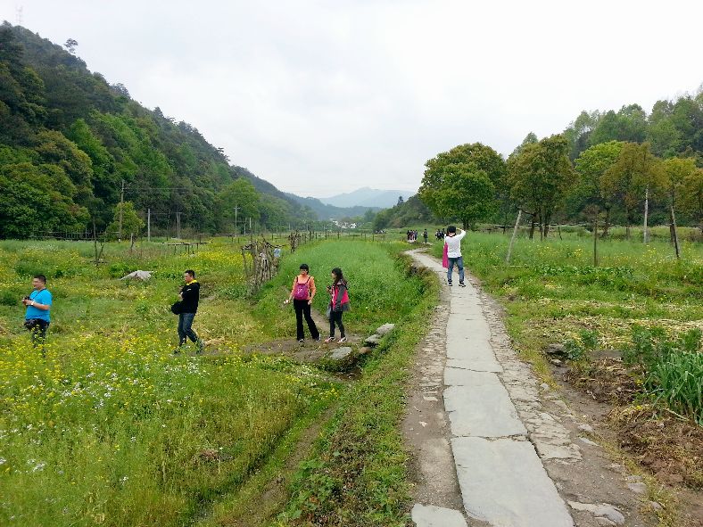 被誉为中国最美的古村落,徽州婺源风光