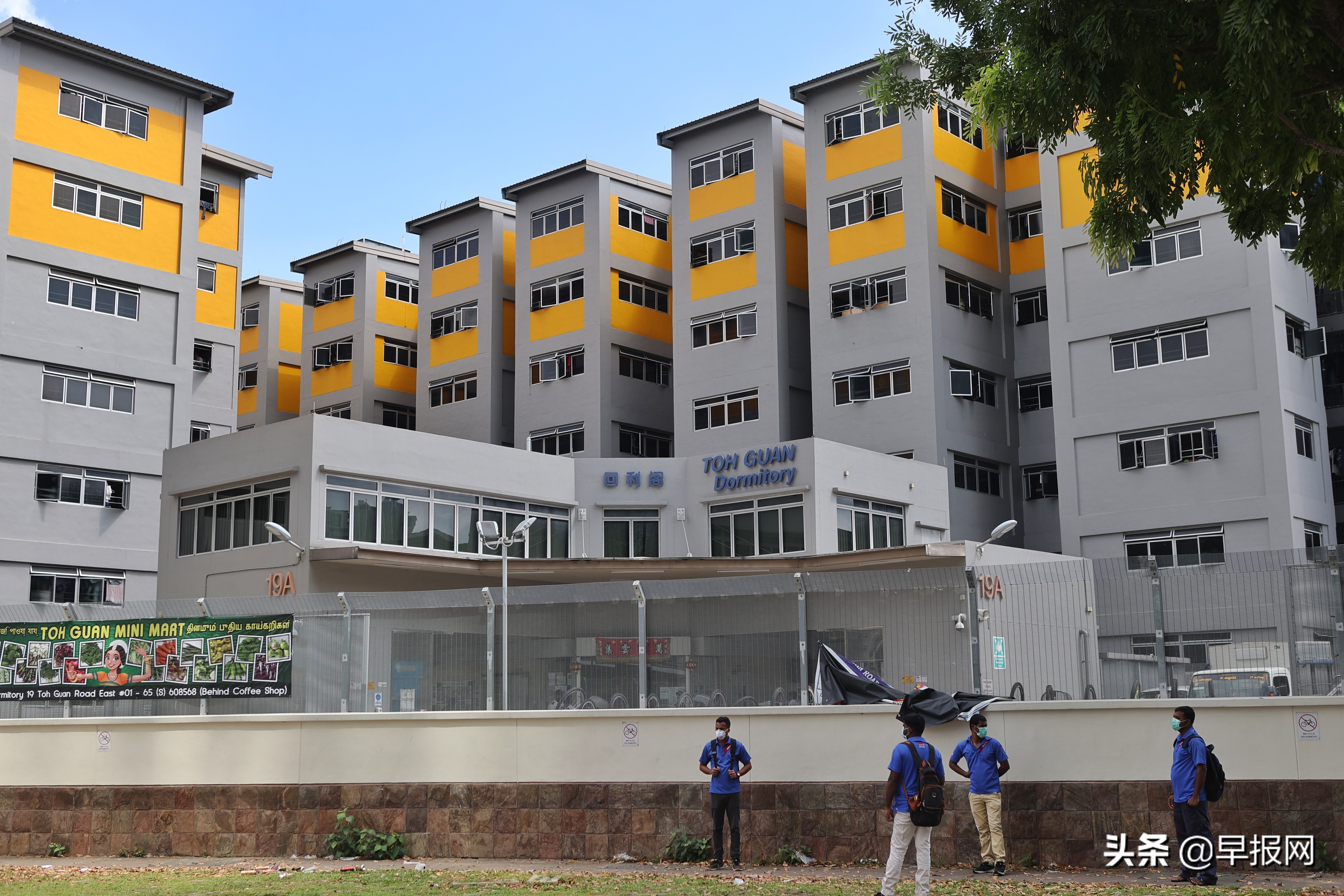 新加坡总理谈疫情防控,新加坡新闻部长