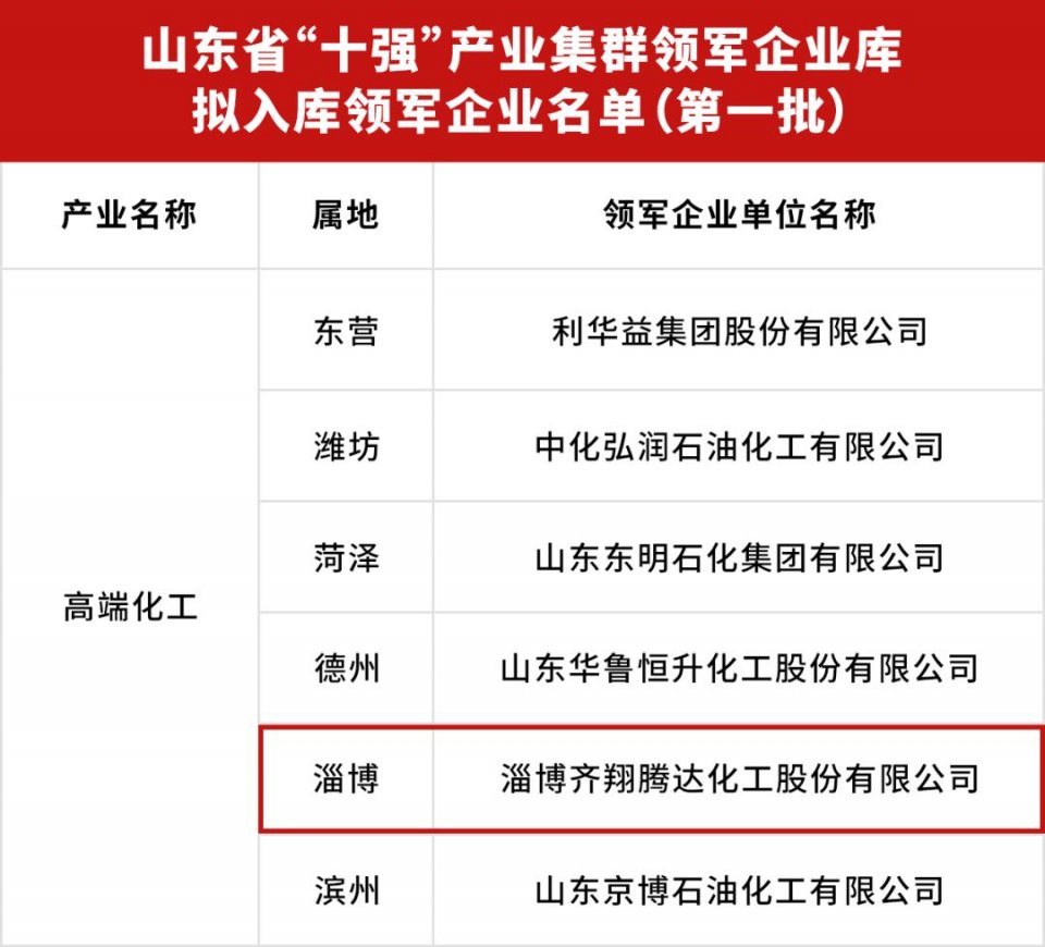 官方认定！齐翔腾达入选山东“十强”产业集群领军企业