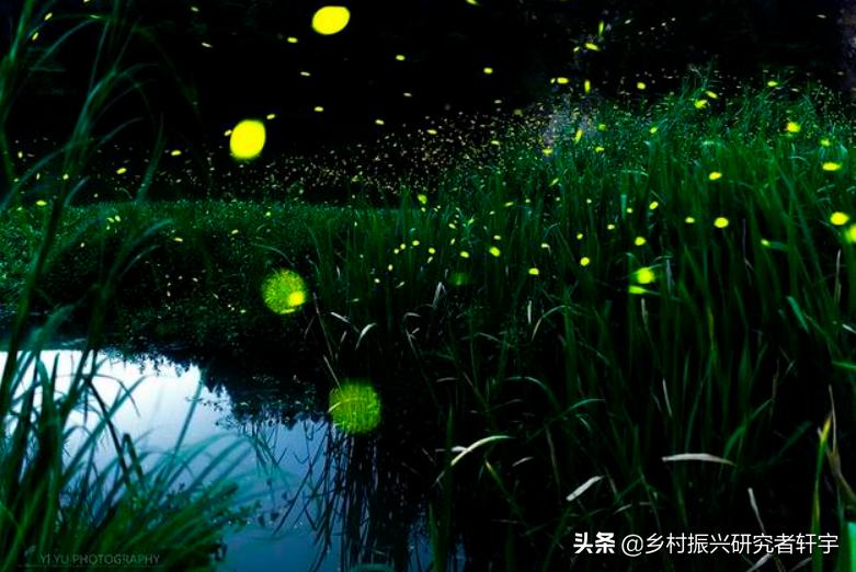 乡村振兴特色产业的重要特征是,乡村振兴一二三产业分别指什么