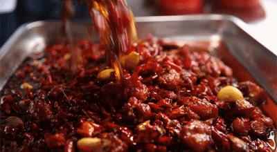 独家揭秘20年卖了两百多万只鸡的老板,到底有什么特异功能!