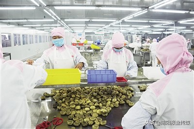 西峡创新科技,西峡创新创业产业园