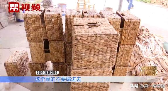 500来户村民从事藤篮编织，每年增加一万多收入，村民很乐呵