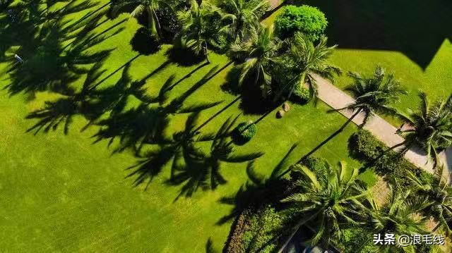 三亚丽思卡尔顿可以参观吗,三亚丽思卡尔顿适合带孩子吗