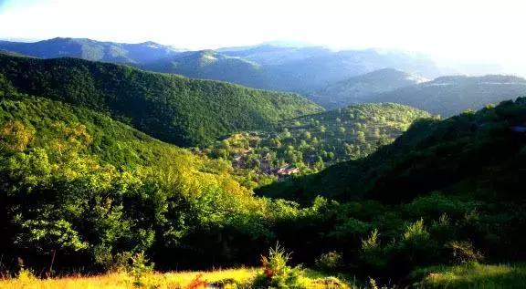 山西晋城析城山,极目胭粉遍草甸