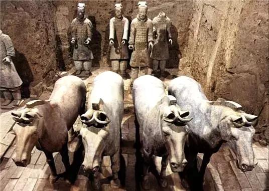 马青云女士找到了吗,主人公叫马青云的官场小说