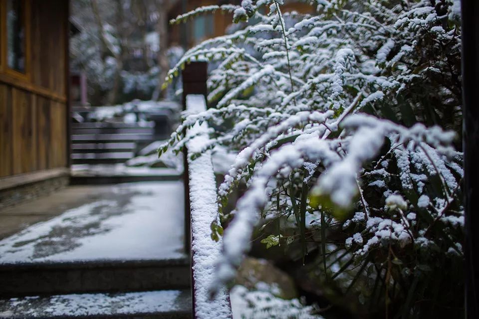 没有孵过混堂的上海冬天，是不完整的！