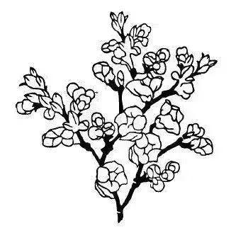 十大公认好用的粉底液排名滋润型,适合秋冬各种皮肤的粉底液