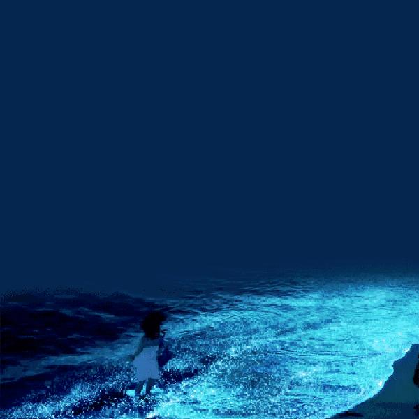 马来西亚的海,马来西亚的最美海是什么样的