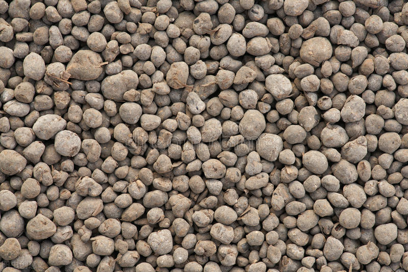 记住这个口诀施肥不用愁,冲施尿素加啥利用率高