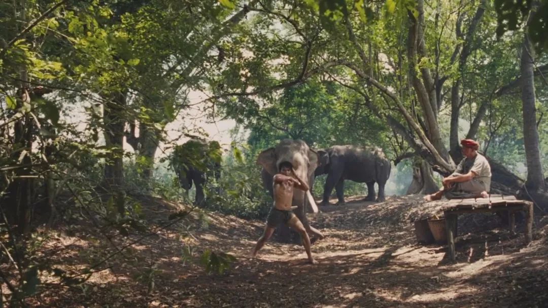 托尼贾金星初露锋芒,托尼贾金星完整视频