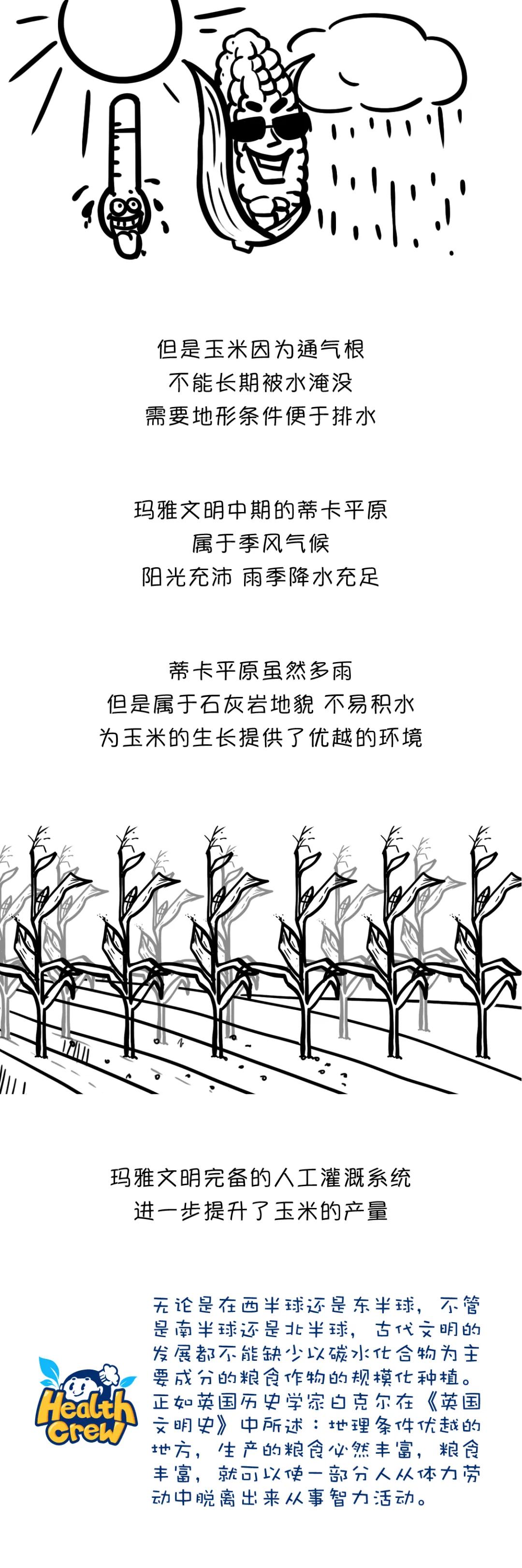 漫画食物简史有阅读价值吗,漫画食物简史漫画书