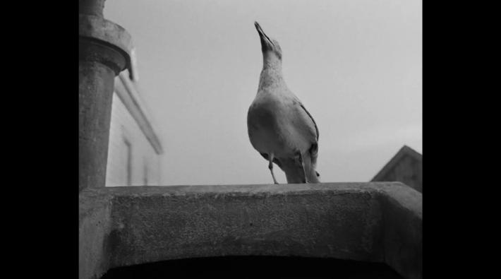 罗伯特帕丁森忧郁眼神,罗伯特帕丁森高清大图