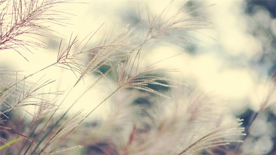 每天都情绪低落该怎么办,经常心情低落没精神怎么办