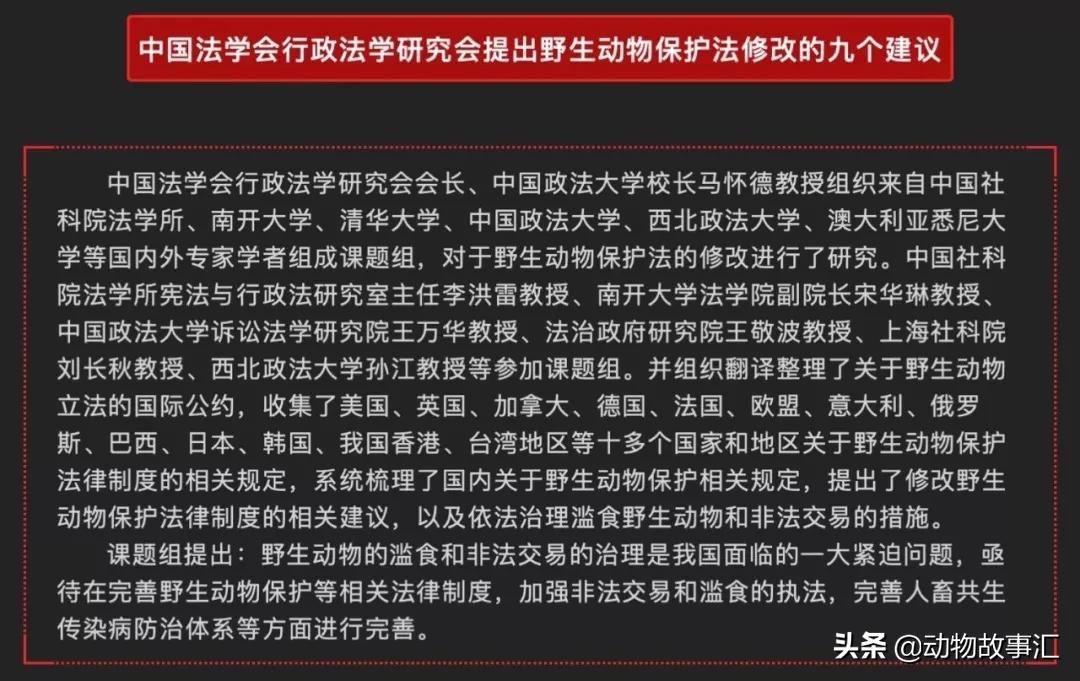 世界穿山甲日/专家建议对穿山甲等“生态灭杀”，我们坚决拒绝