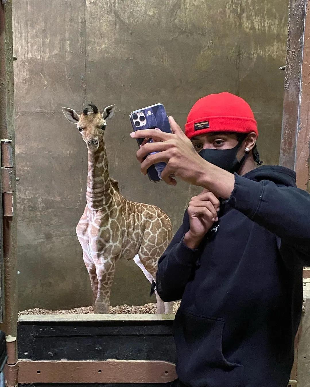 篮球头像图集可保存,篮球头像视频模板