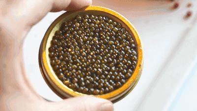 珍贵的鲟鱼子酱,顶级的鲟鱼子酱